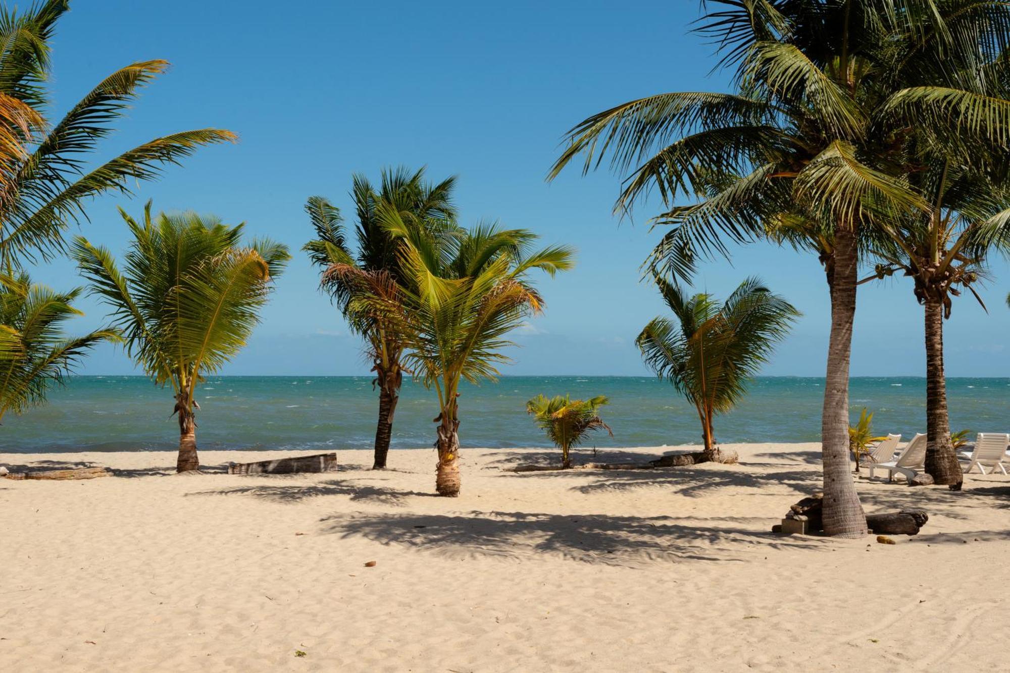 Sandy Feet Beach Resort Placencia Ngoại thất bức ảnh